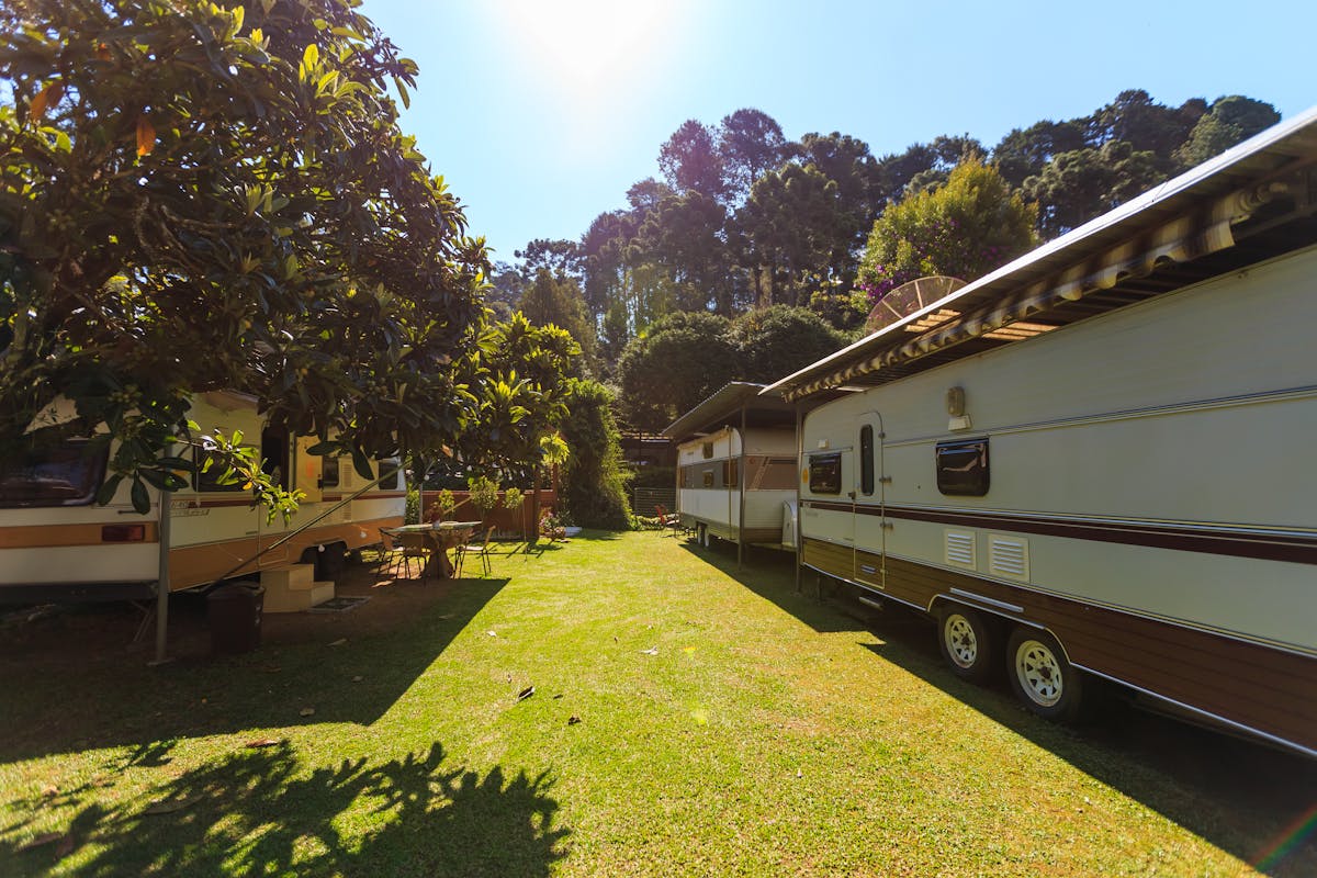 Sunlit trailers parked at a forest campsite.